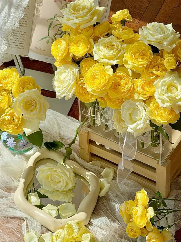 Ảnh cánh đồng hoa hồng vàng bát ngát