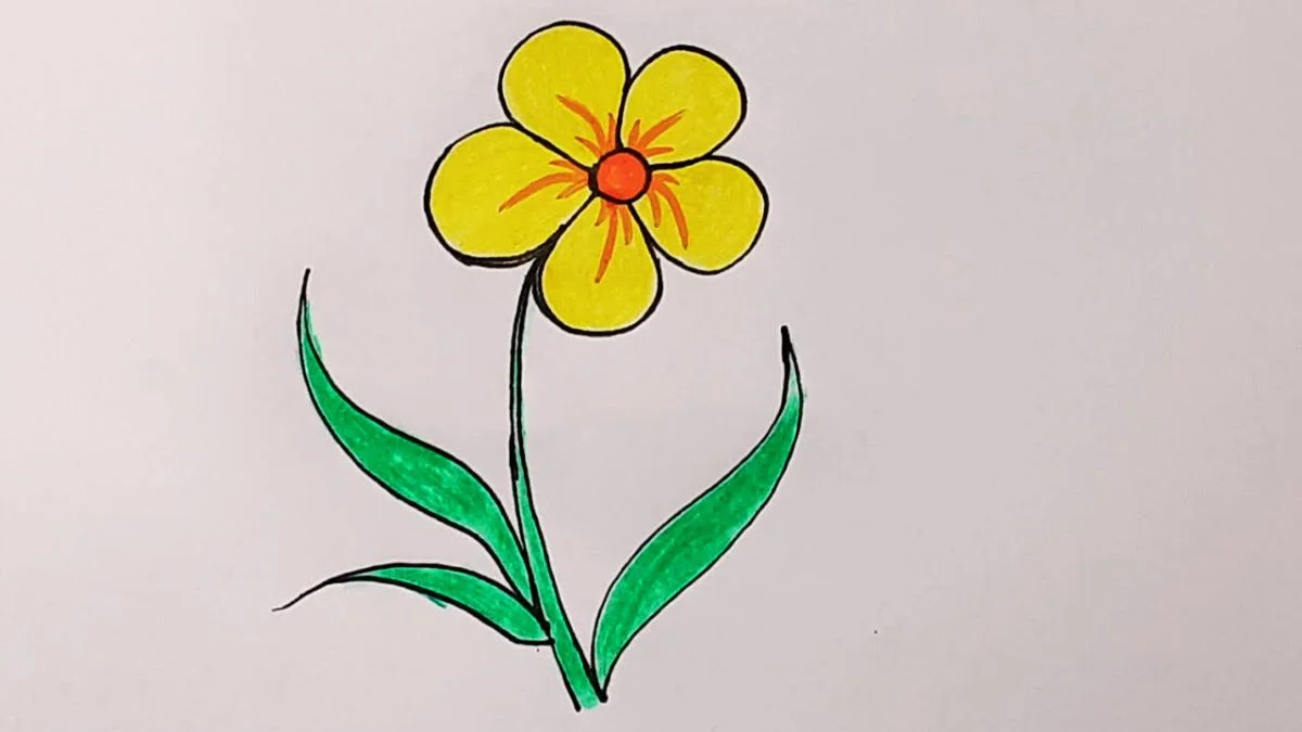 Phân tích kiểu dáng khi vẽ bông hoa 5 cánh