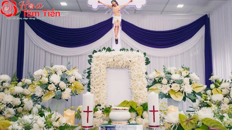 Hoa Tâm Tiền