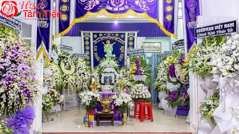 Hoa Tâm Tiền (2)