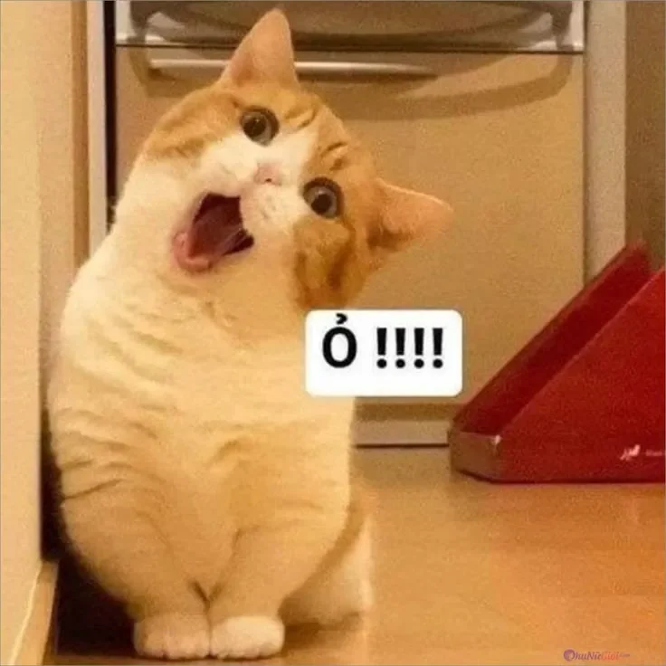Một cái nháy mắt đáng yêu ghê gớm