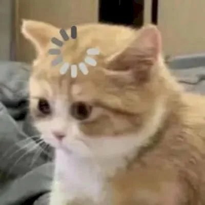 Tổng hợp 100+ meme mèo hài hước, cute, vui nhộn nhất 2024