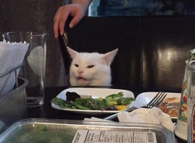 Hình ảnh con mèo meme nổi tiếng đang ngồi bối rối trước đĩa salad tại bàn ăn