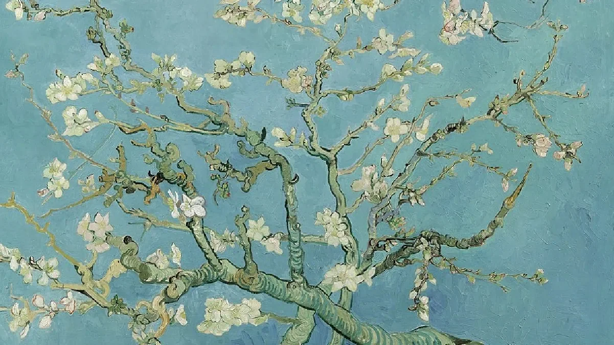 Tranh hoa hạnh nhân nở rộ của Van Gogh