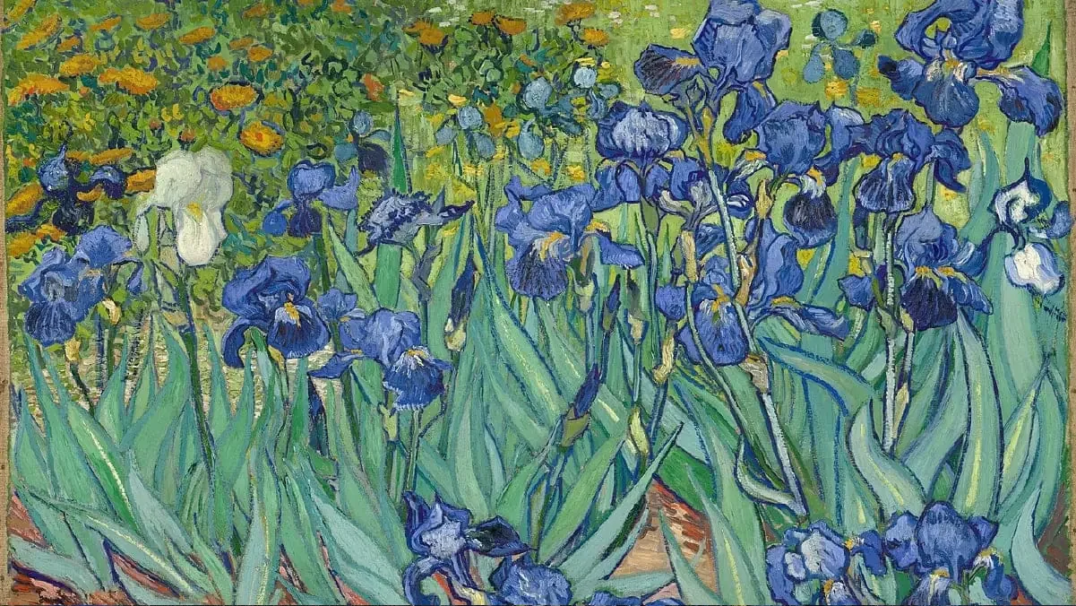 Tranh hoa diên vĩ của Van Gogh