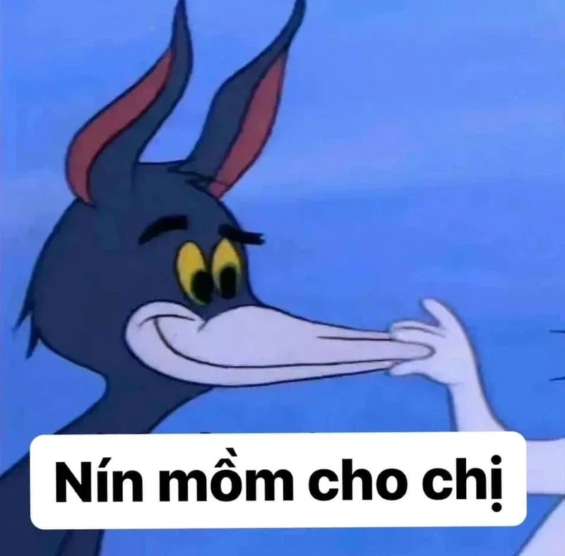 Ảnh meme bựa cực chất dành riêng để bình luận troll bạn bè